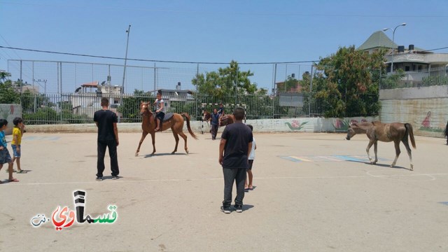 كفرقاسم - فيديو  : تعليم هواية ركوب الخيل في مدرسة جنة ابن رشد في اليوم الرابع لصيف الصادقة 